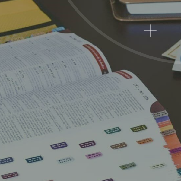 QUAL VADE MECUM LEVAR PRA SEGUNDA FASE DA OAB? | Marca, Modelo e Muito mais